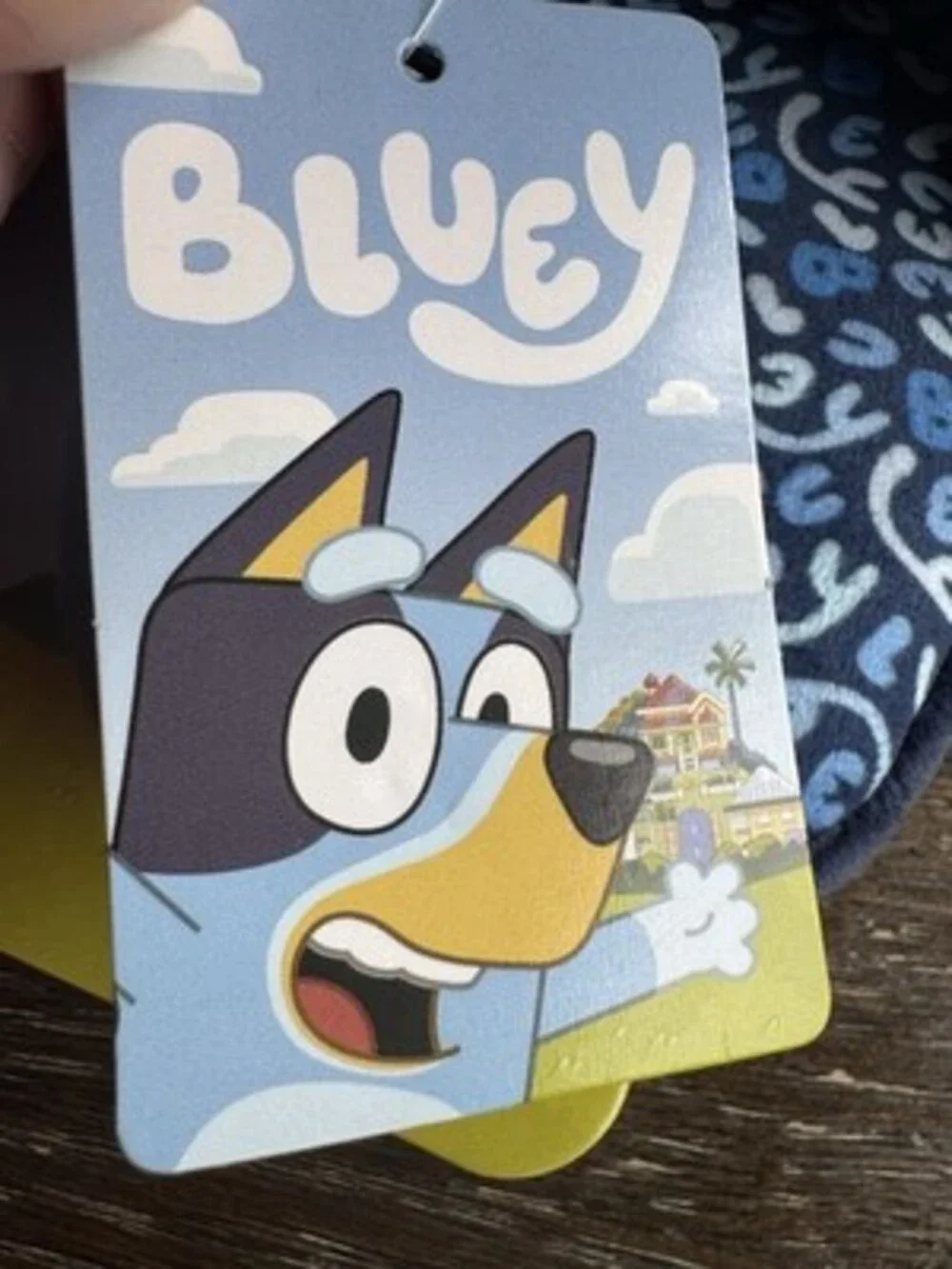 Brand New Bluey Slippers Size Medium NWT
